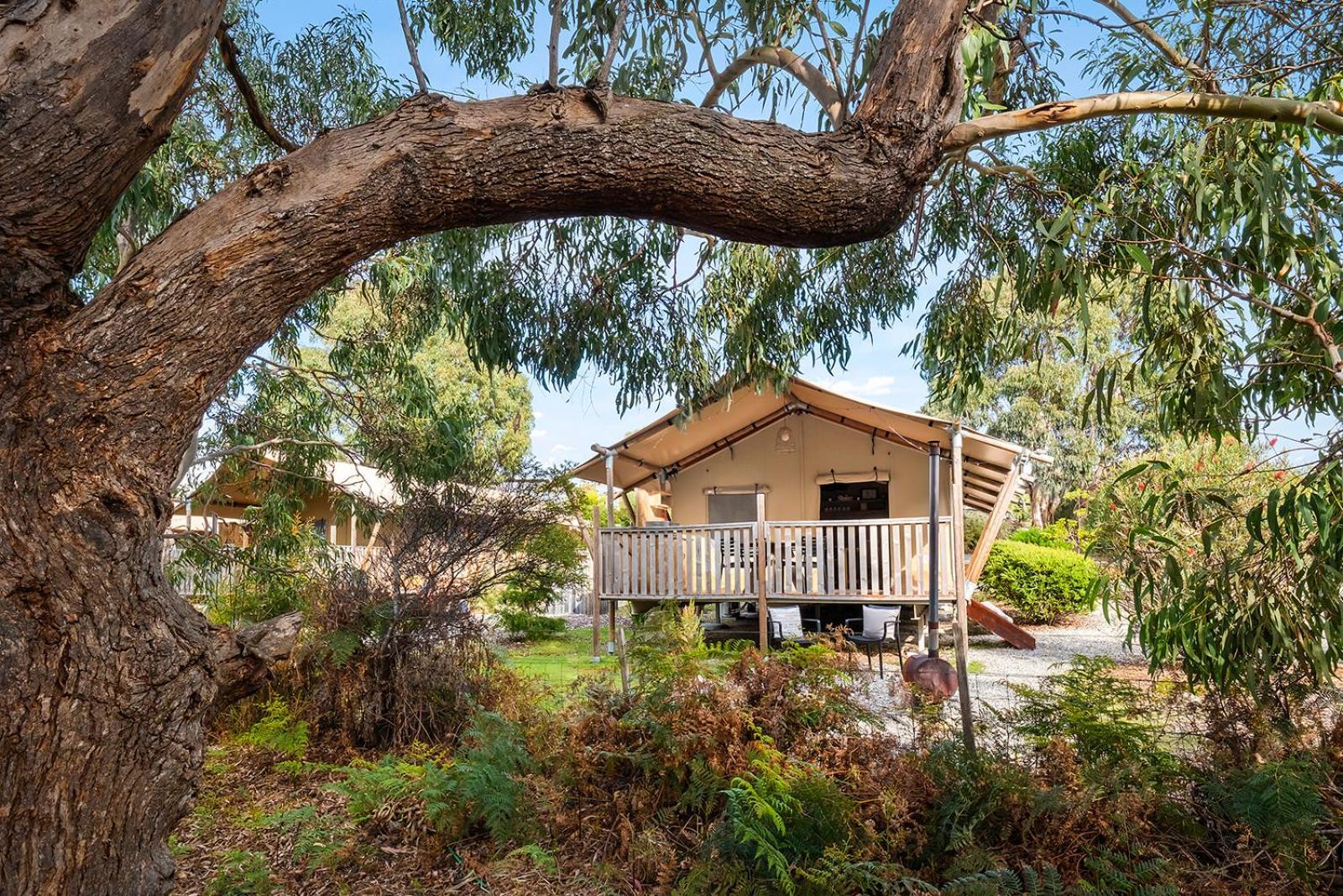 Scamander Sanctuary Holiday Park Екстериор снимка